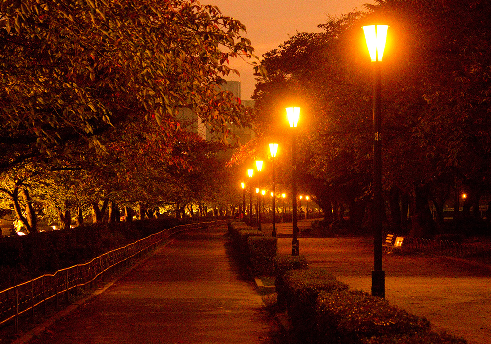 遊歩道街路灯