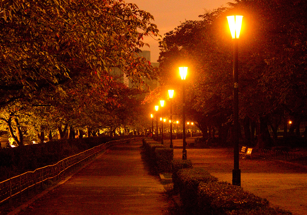 遊歩道街路灯